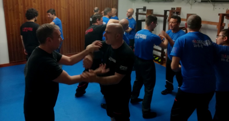 Stage con Sifu Mezzone - 19 Maggio 2019